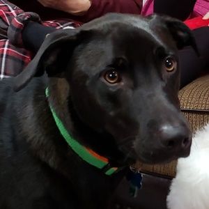 Meet your Posher, Teresa